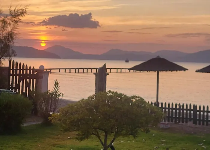 Sea Breeze * Mokilas